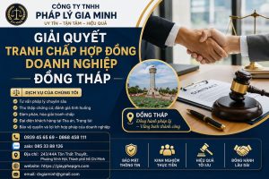 Luật sư giải quyết tranh chấp doanh nghiệp tại Đồng Tháp