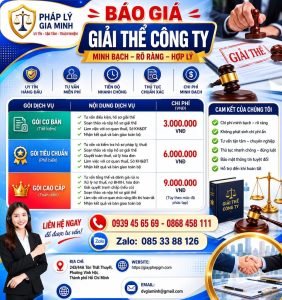 Dịch vụ giải thể công ty phần mềm tại Đồng Tháp
