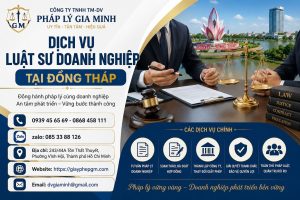 Dịch vụ luật sư doanh nghiệp tại Đồng Tháp
