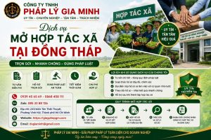 dịch vụ mở hợp tác xã đồng tháp